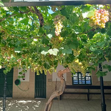 Casa Rural La Del Alba Seria Argamasilla de Alba Екстериор снимка