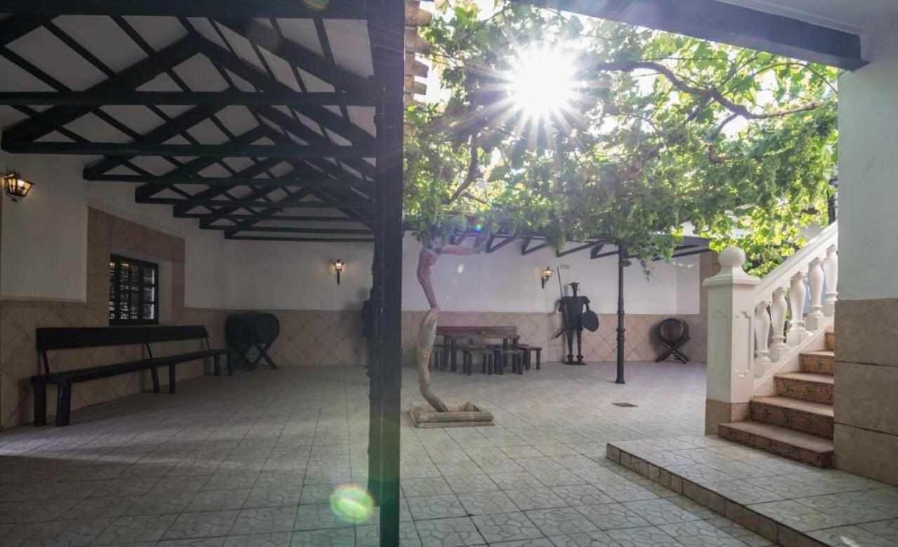 Casa Rural La Del Alba Seria Argamasilla de Alba Екстериор снимка