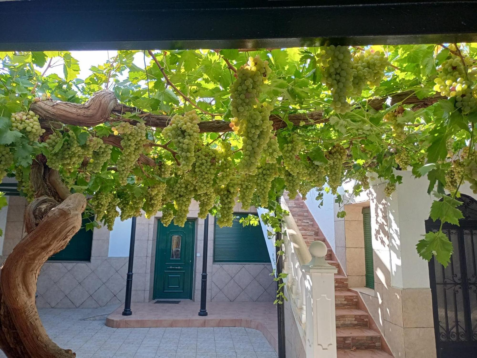 Casa Rural La Del Alba Seria Argamasilla de Alba Екстериор снимка